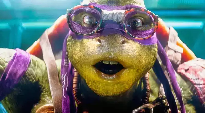 Donatello - ninja turtles name