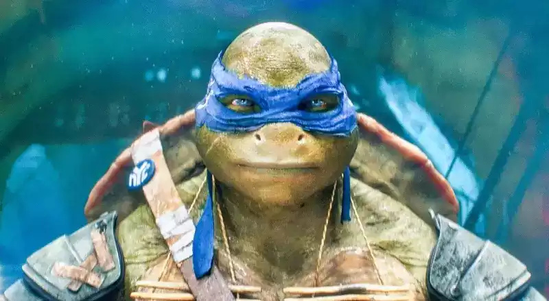 Leonardo - ninja turtles name