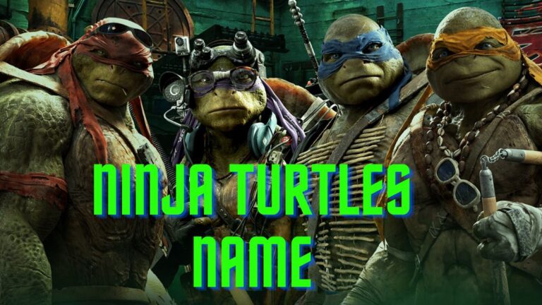 Ninja Turtles Name