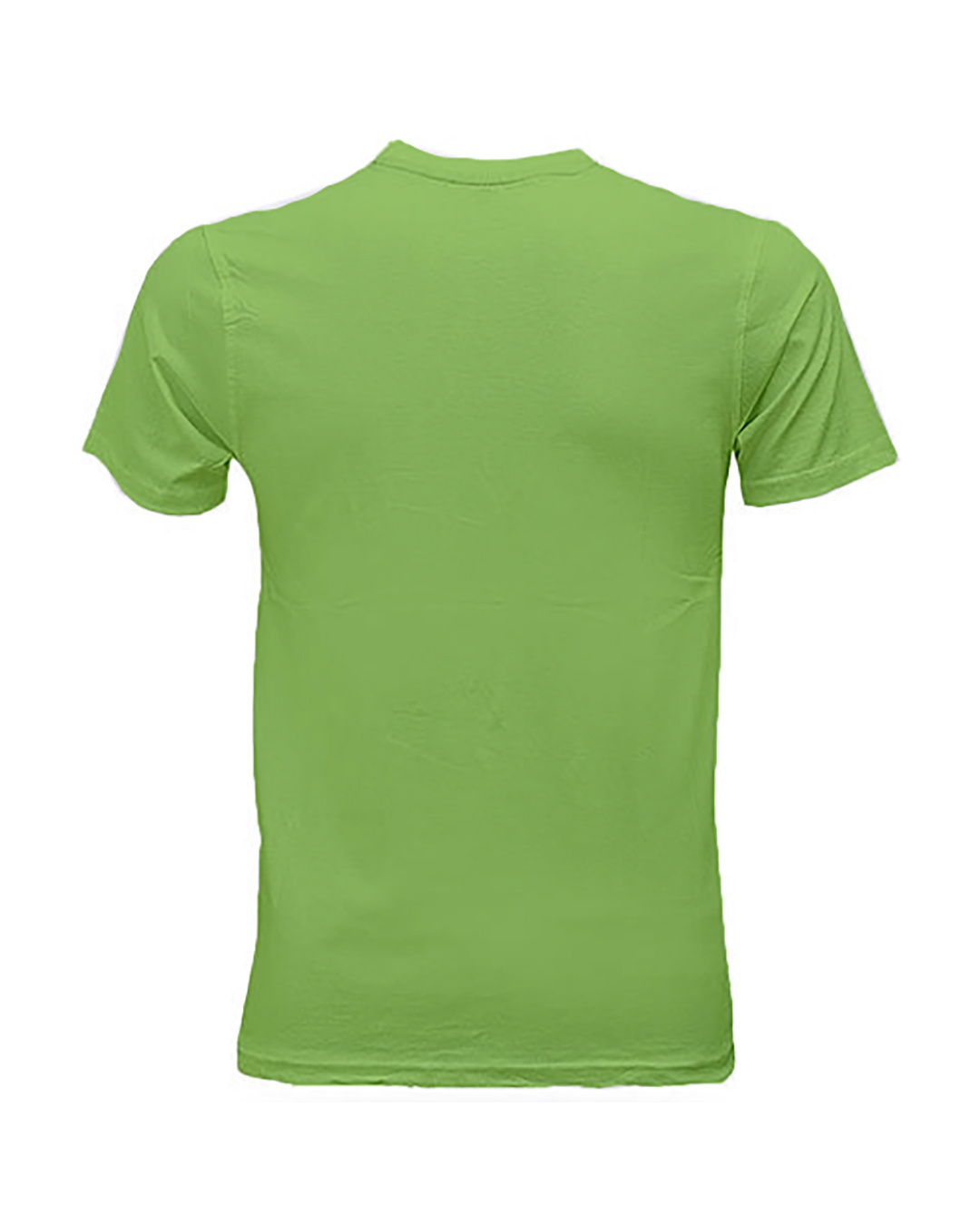 Shop Women's Solid Half Sleeve Green T-shirt-Back