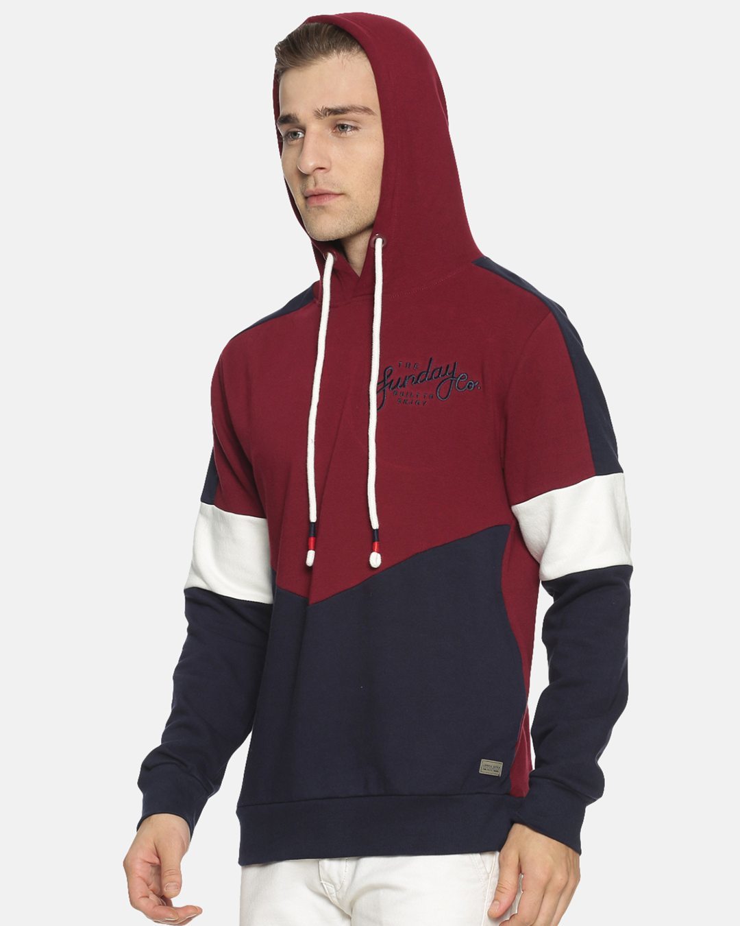 Shop Men's Stylish Color Blocked Casual Hooded Sweatshirt-Back