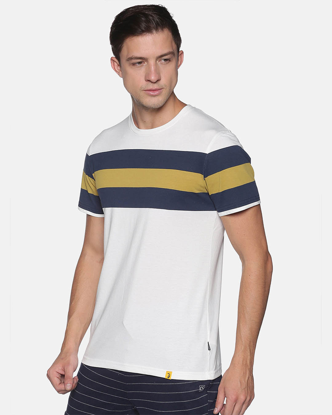 Shop Men Stylish Striped Casual T Shirts-Back