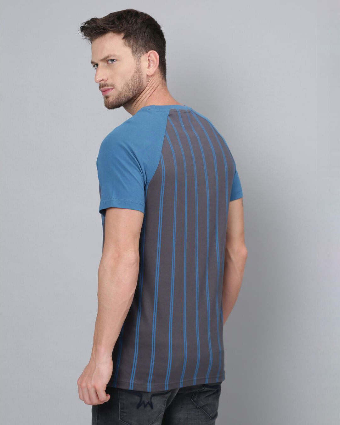 Shop Men's Grey Striped T-shirt-Back