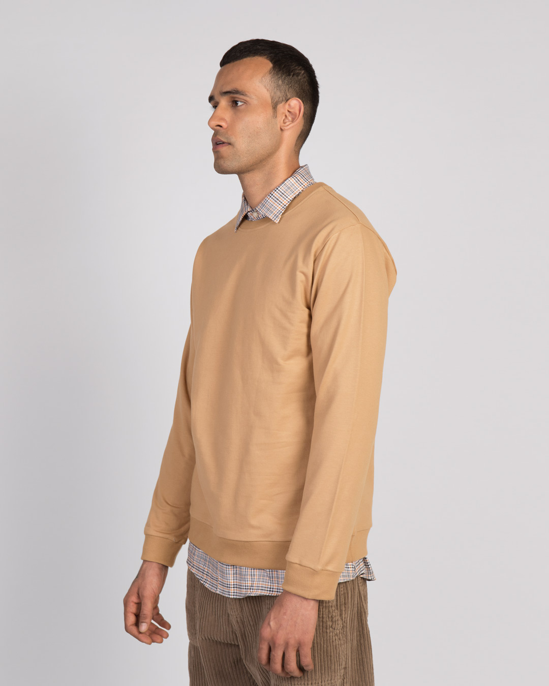 Shop Pastel Beige Fleece Light Sweatshirt-Back