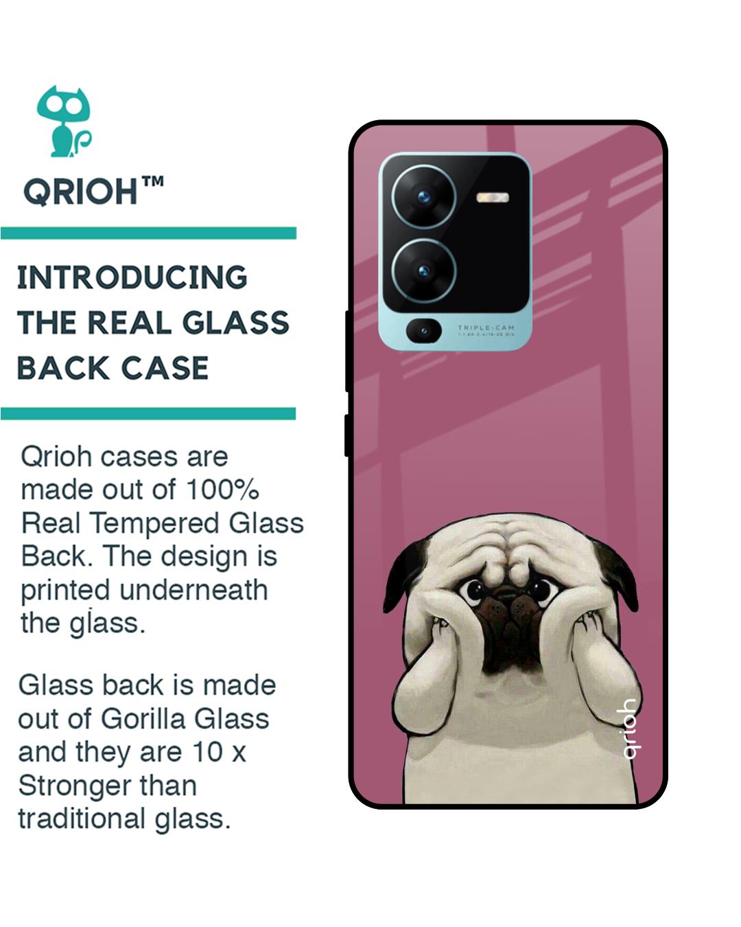 Shop Funny Pug Face Printed Premium Glass Case for Vivo V25 Pro (Shock Proof,Scratch Resistant)-Back