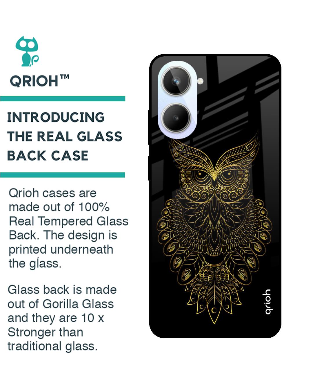 Shop Golden Owl Printed Premium Glass case for Realme 10 5G (Shock Proof,Scratch Resistant)-Back