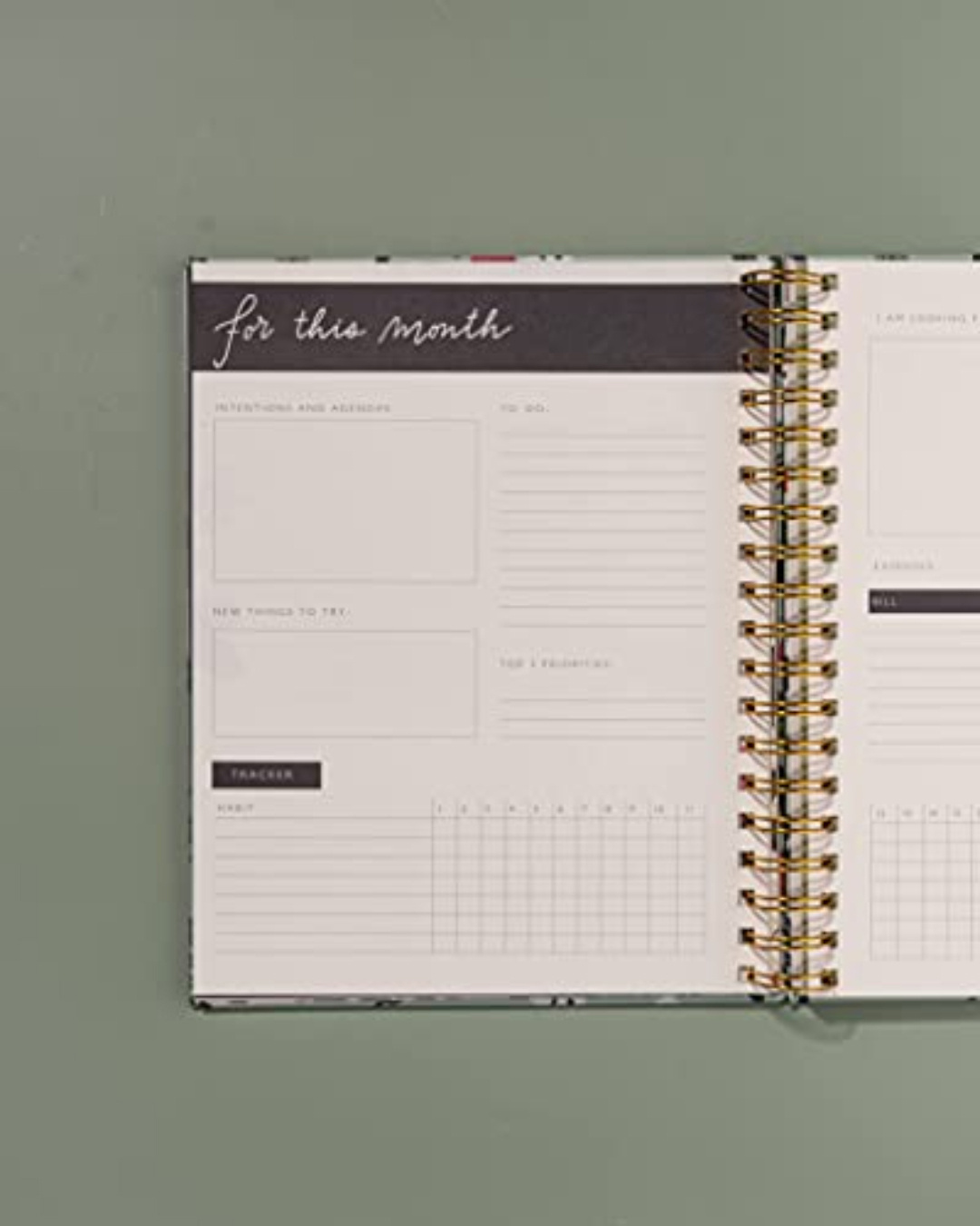 Shop Green Tropical Mint Undated Planner-Back