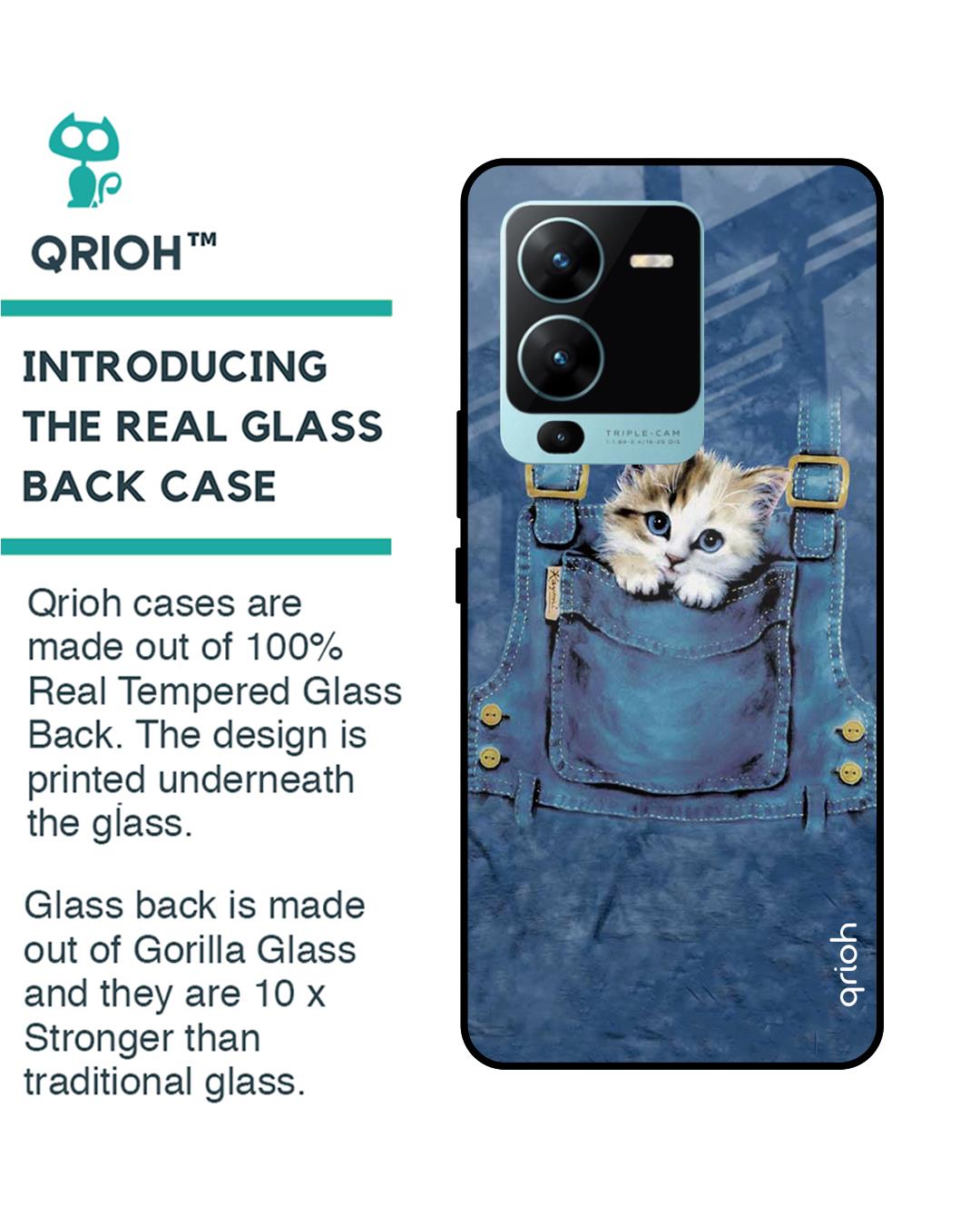 Shop Kitty In Pocket Printed Premium Glass Case for Vivo V25 Pro (Shock Proof,Scratch Resistant)-Back