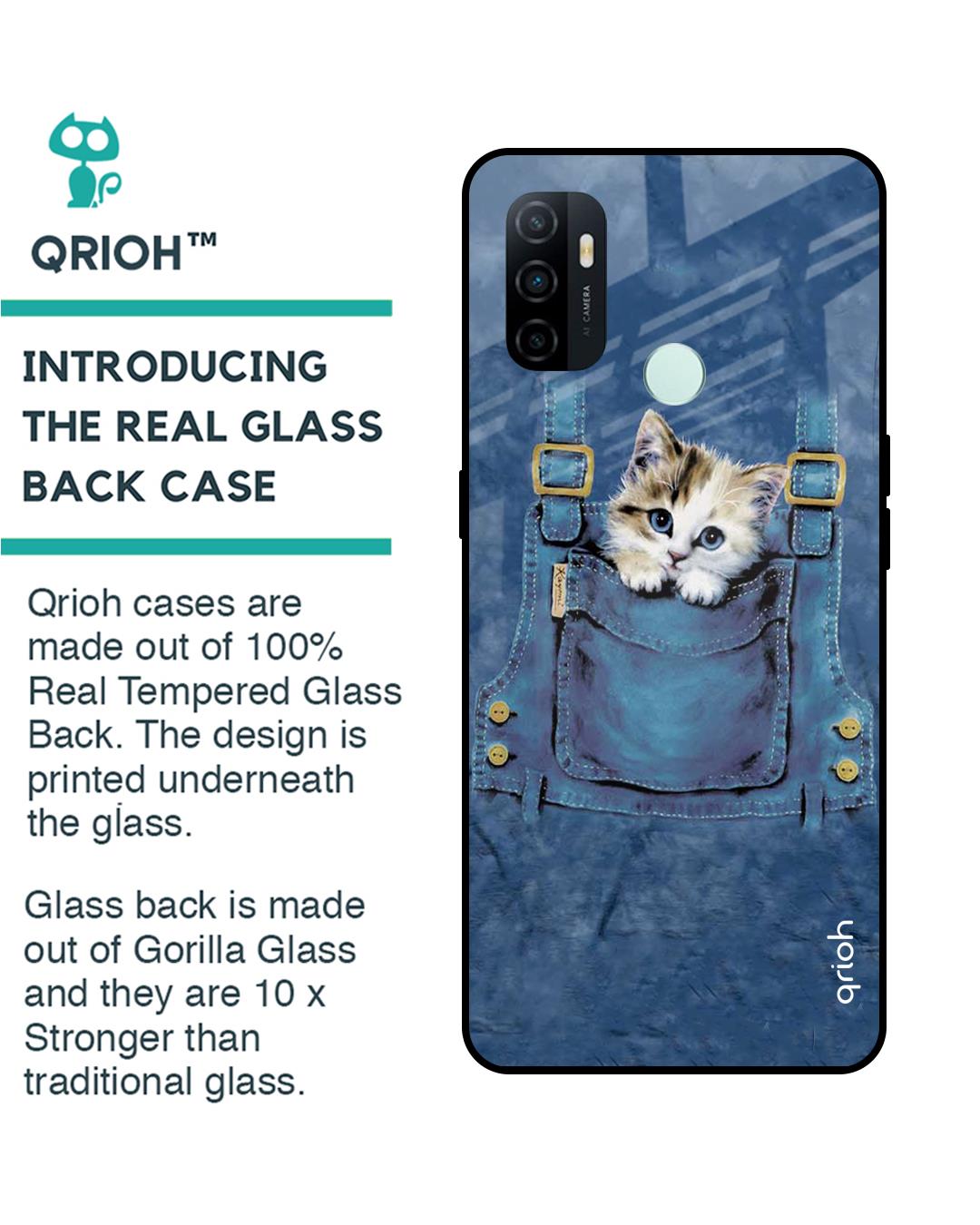Shop Kitty In Pocket Printed Premium Glass Cover For Oppo A33 (Impact Resistant, Matte Finish)-Back
