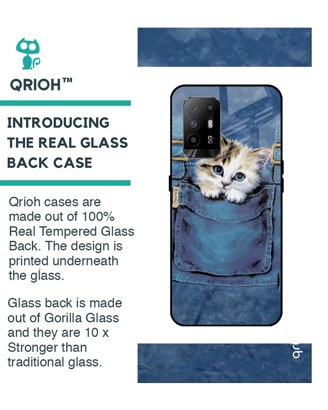Shop Kitty In Pocket Printed Premium Glass Cover For Oppo F19 Pro Plus (Impact Resistant, Matte Finish)-Back