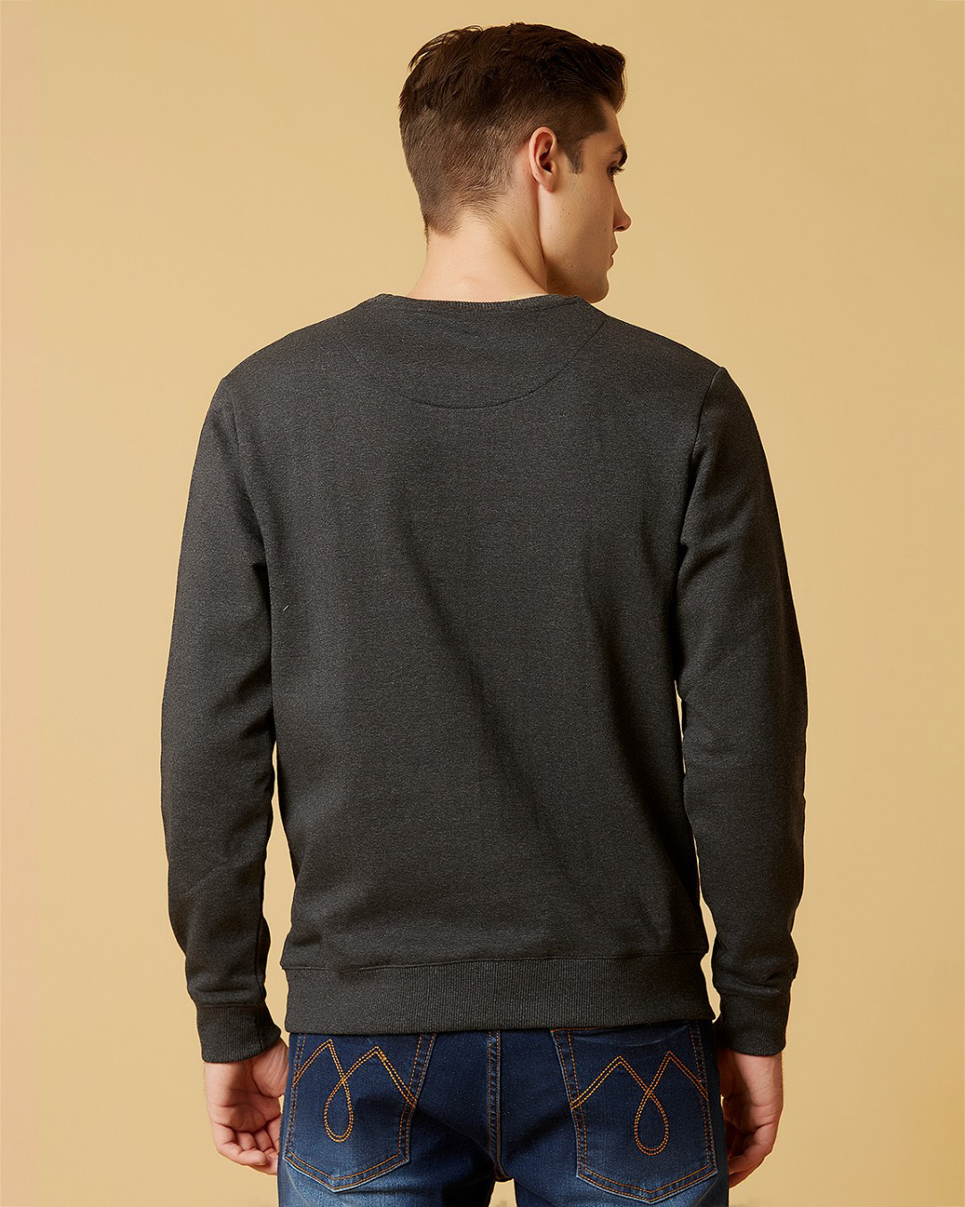 Shop Men's Grey Round Neck Soild Colour Sweatshirt-Back