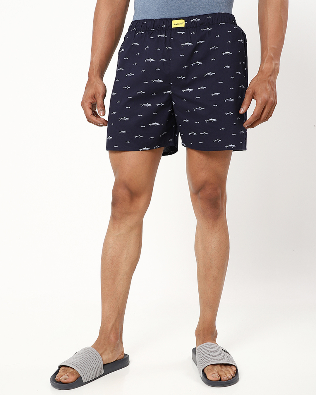 Shop Men's Blue All Over Dolphin Printed Boxers-Back