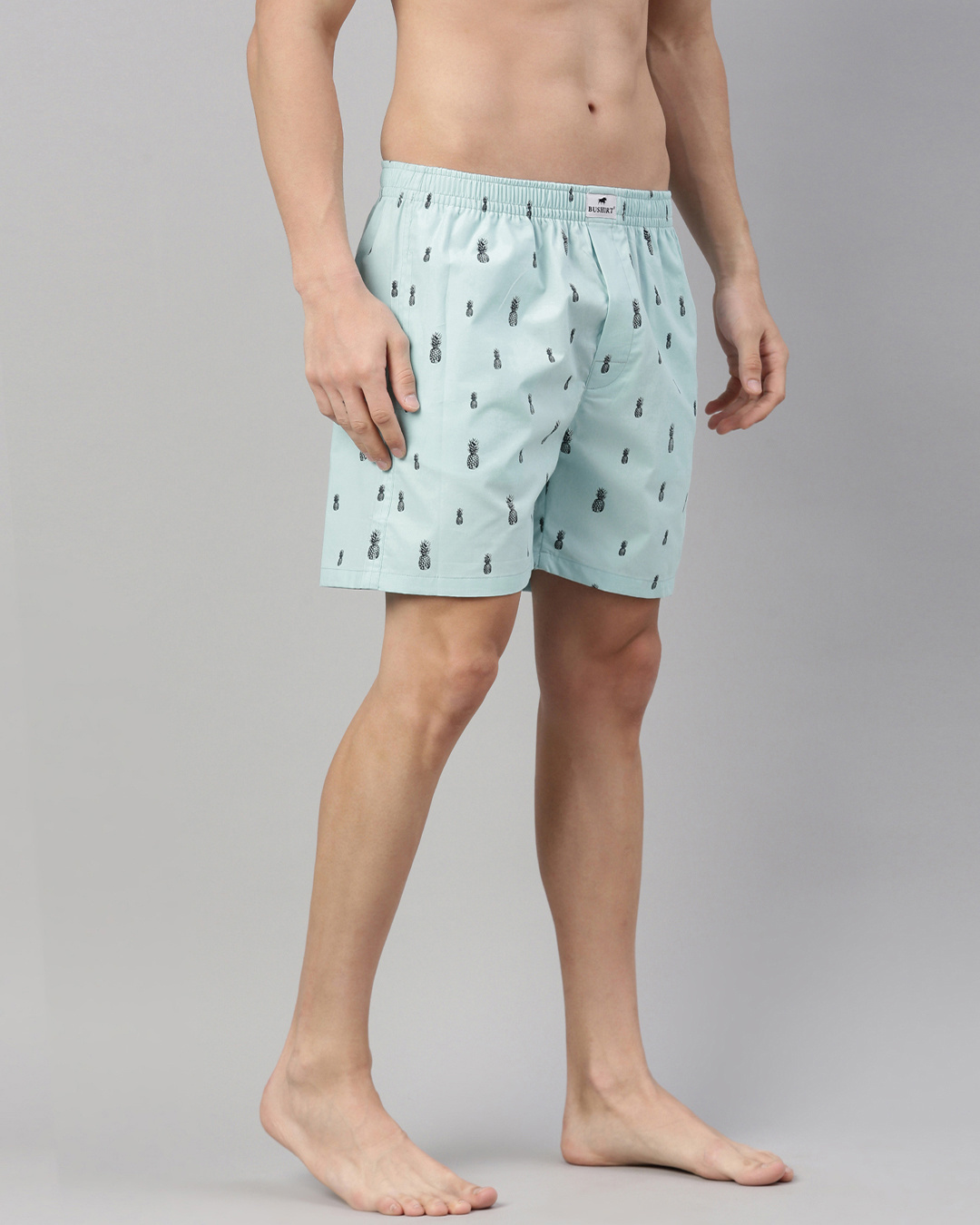 Shop Men's Blue All Over Pineapple Printed Cotton Boxers-Back