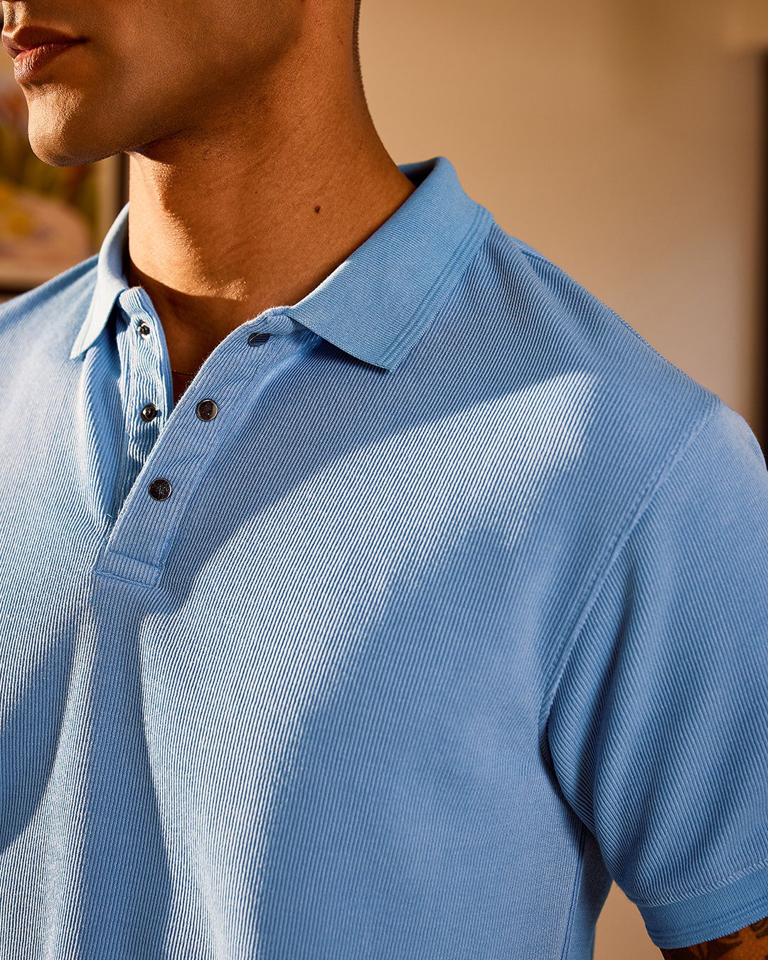 Shop Men's Blue Polo T-shirt-Back