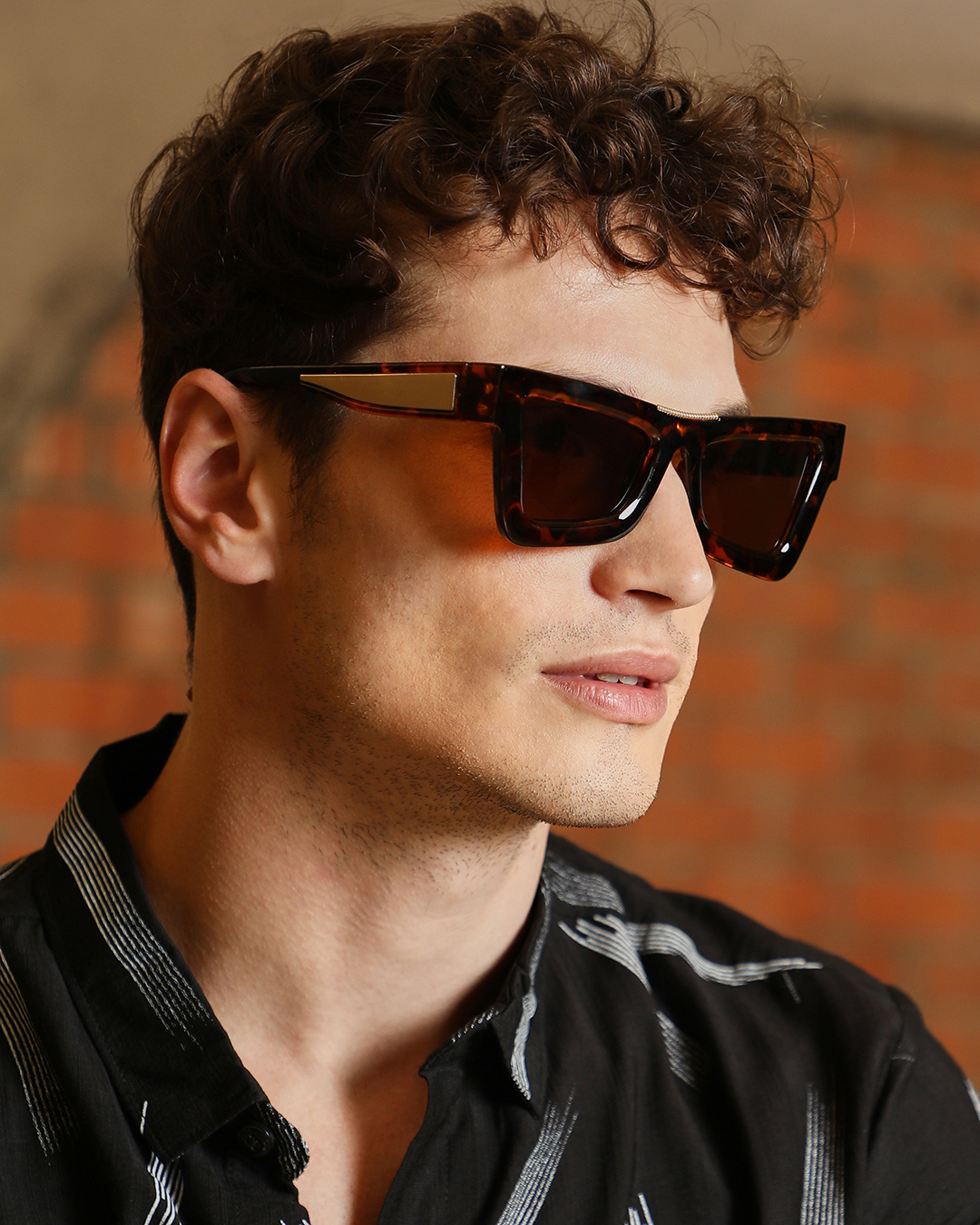 Shop Men's Brown Cateye Polarised Lens Sunglasses-Back
