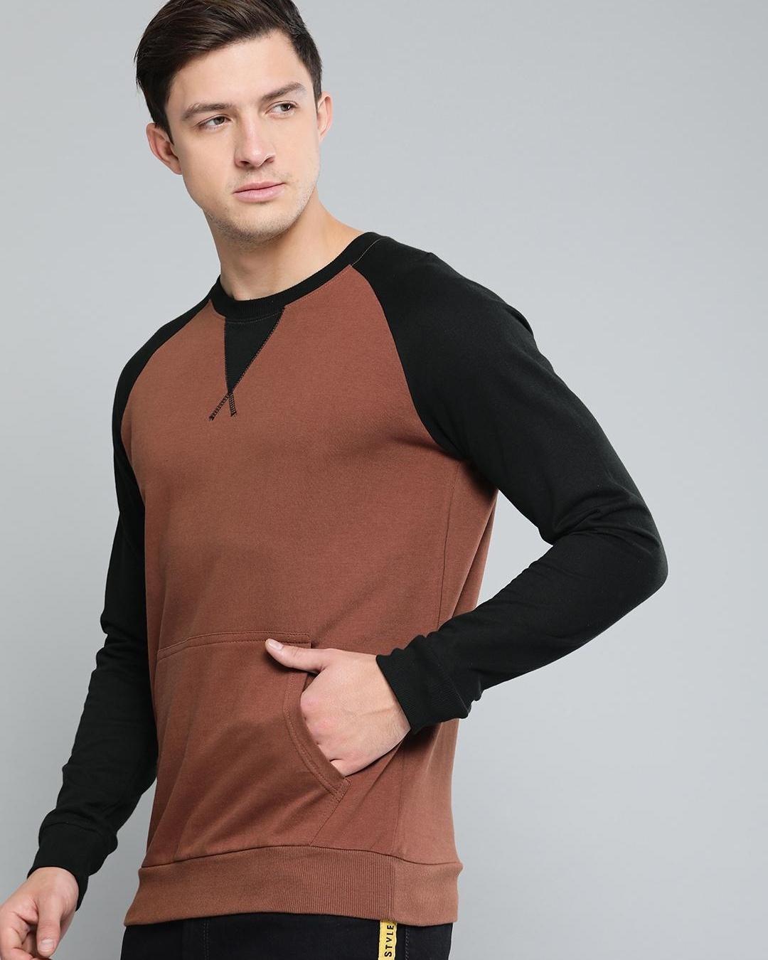 Shop Men's Brown Color Block Sweatshirt-Back