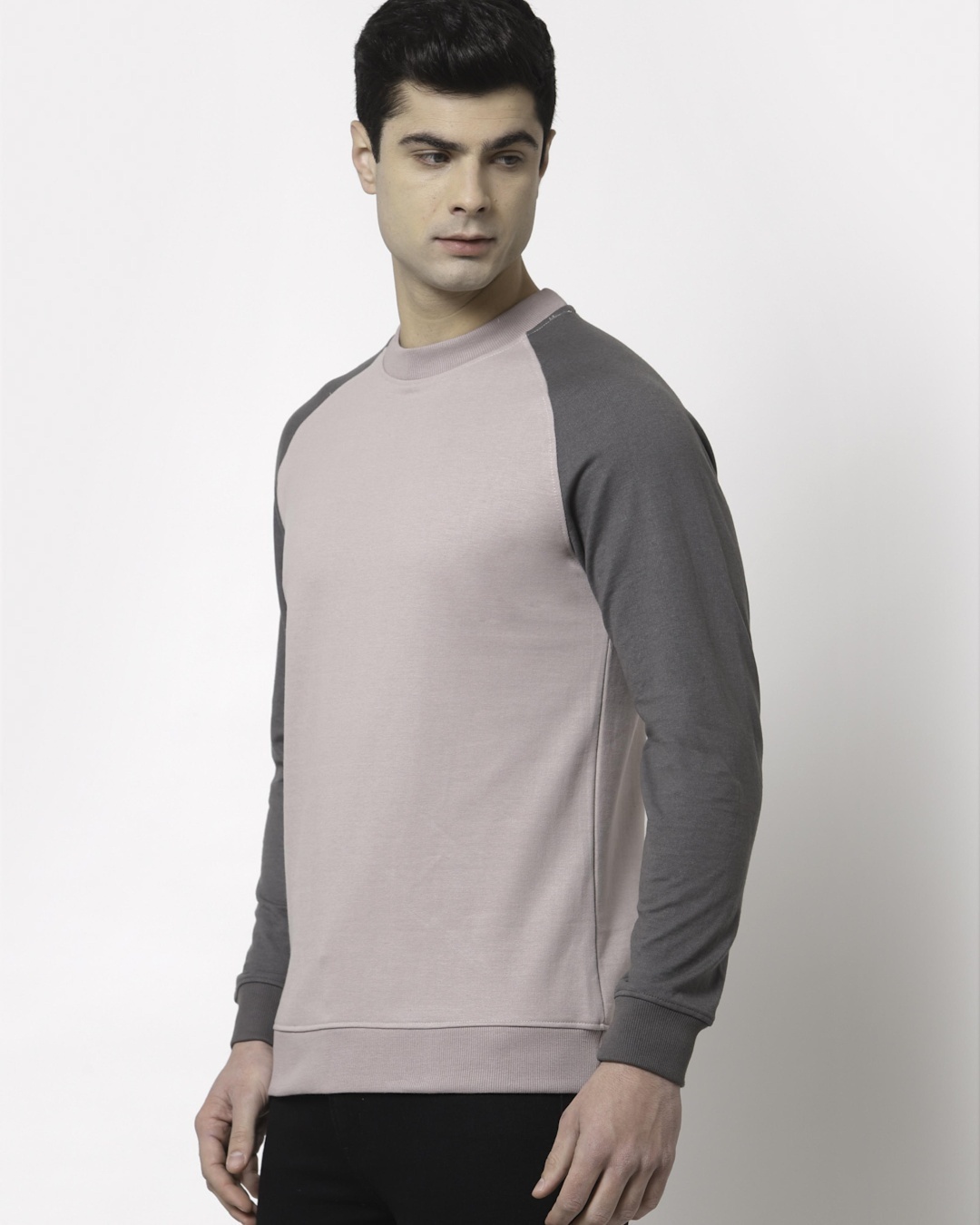 Shop Men's Purple Color Block Sweatshirt-Back