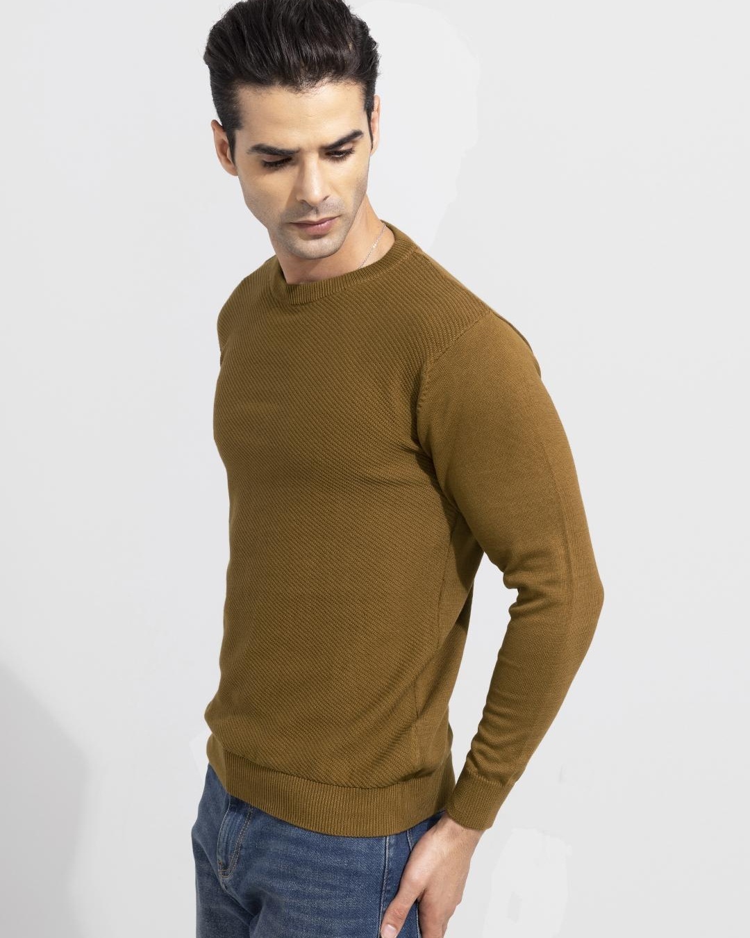 Shop Men's Snug Brown Sweater-Back