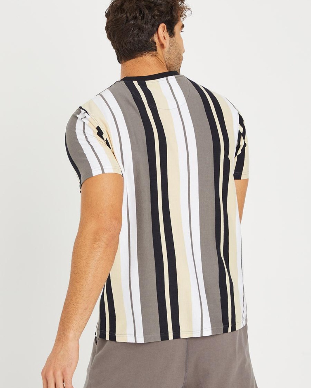 Shop Men's White & Grey Striped T-shirt-Back