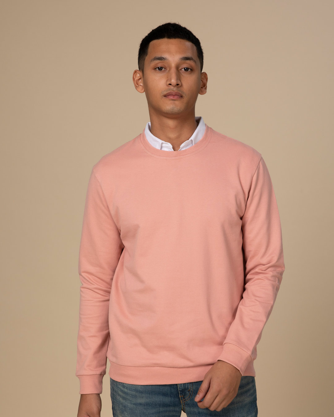 Shop Misty Pink Light Sweatshirt-Back