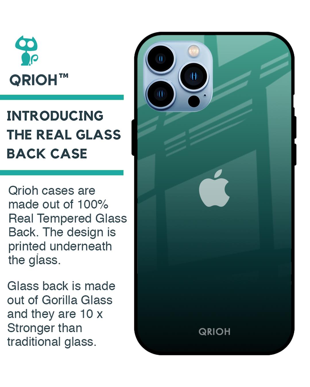 Shop Palm Green Premium Glass Cover For iPhone 13 Pro Max (Impact Resistant, Matte Finish)-Back