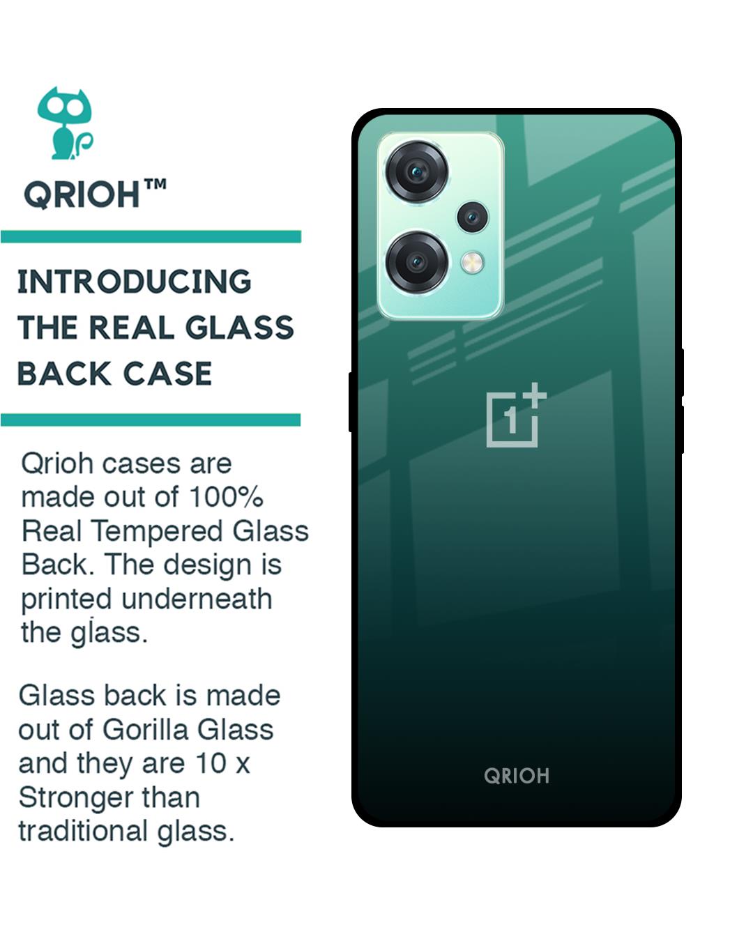 Shop Palm Green Premium Glass Cover For OnePlus Nord CE 2 Lite 5G (Impact Resistant, Matte Finish)-Back