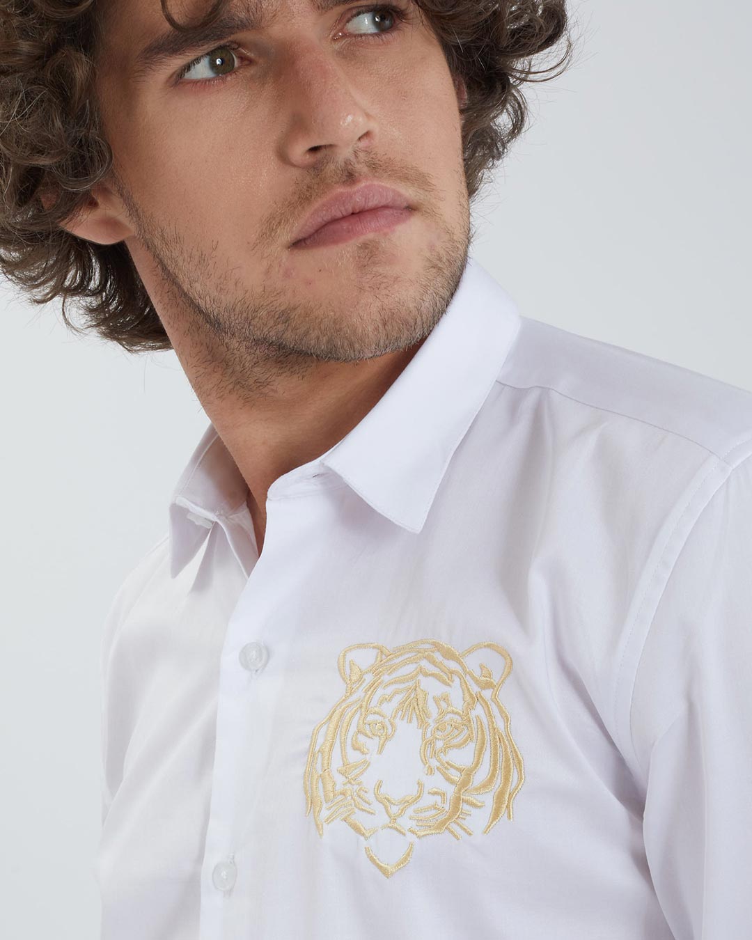 Buy Snitch Tiger Black Satin Mandarin Collar Shirt Online at Bewakoof