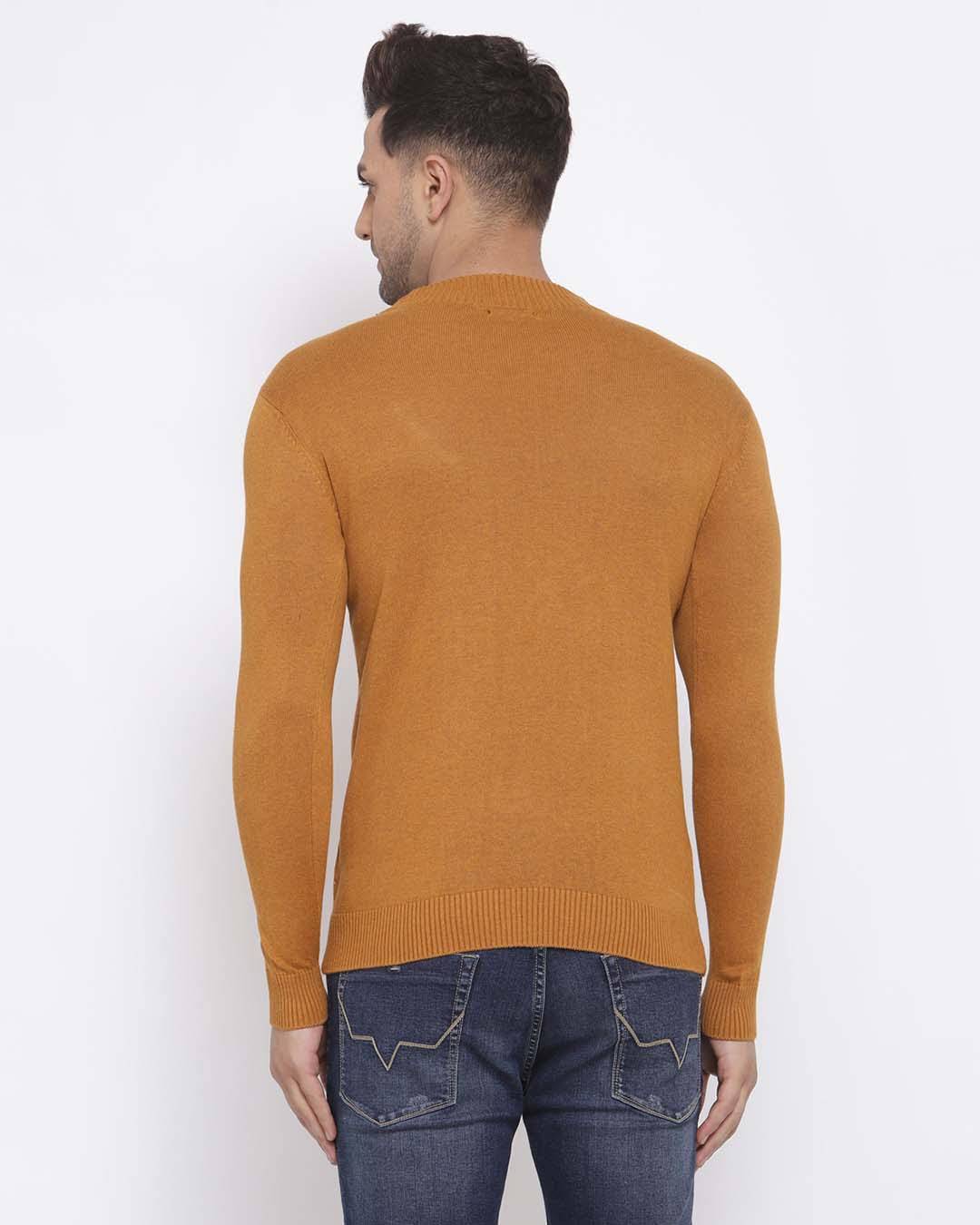 Shop Men Brown Solid Pullover Sweater-Back