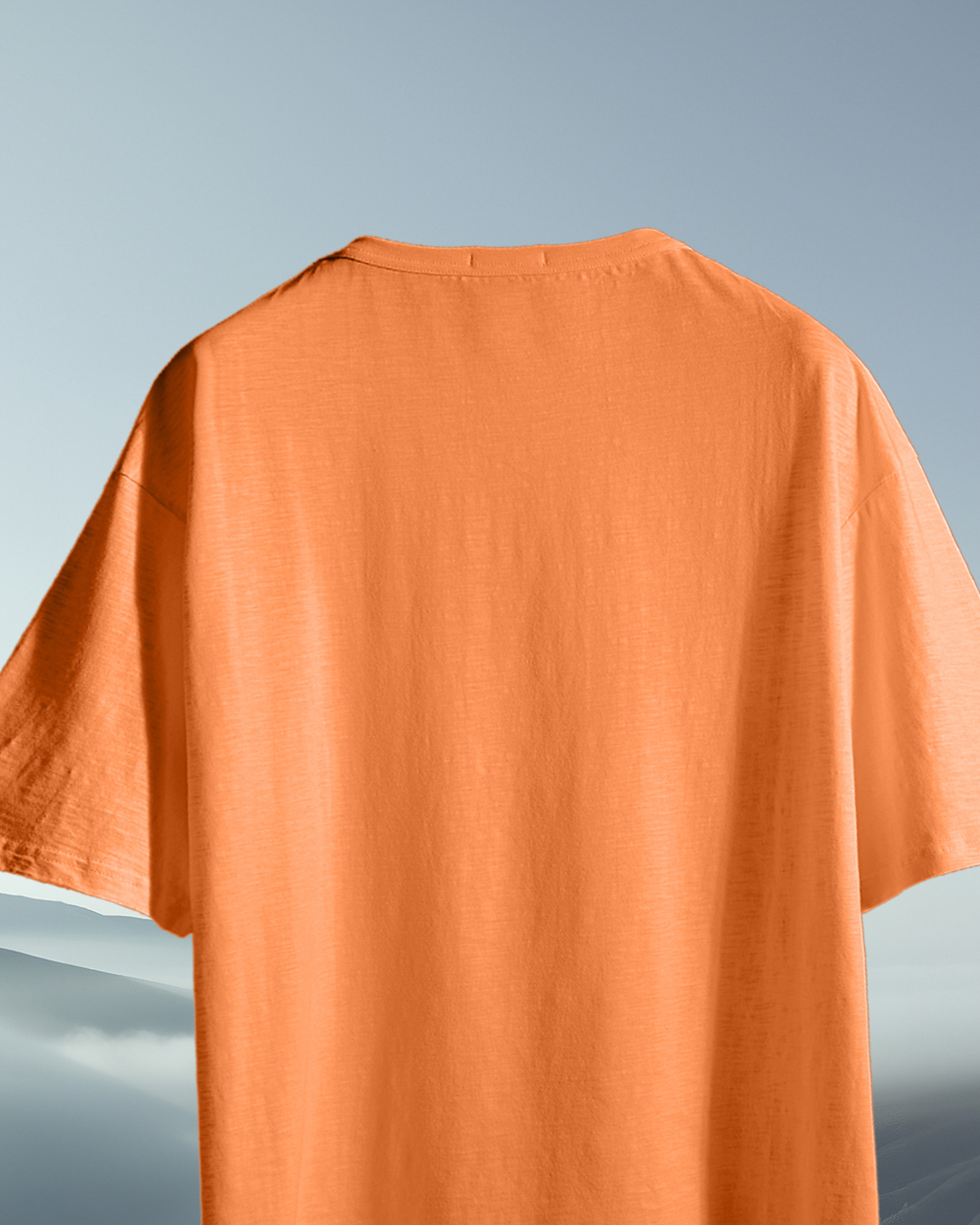 Shop Women's Orange Avatar Aang Graphic Printed Oversized T-shirt-Back