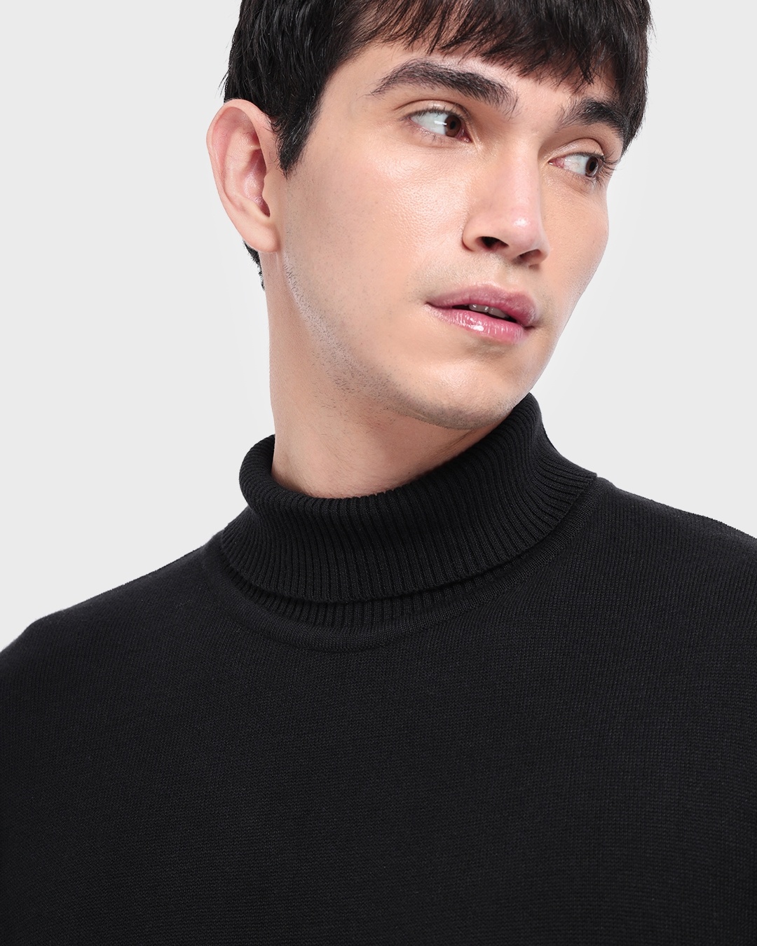 Buy Men's Black High Neck Sweater for Men black Online at Bewakoof