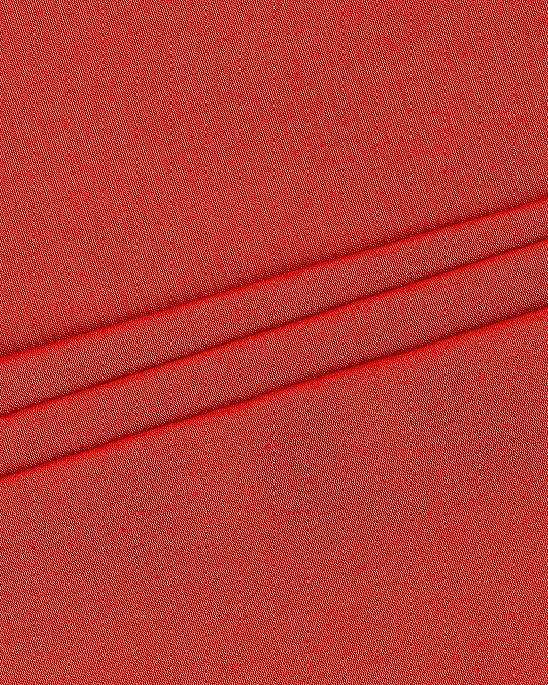 Slide 7