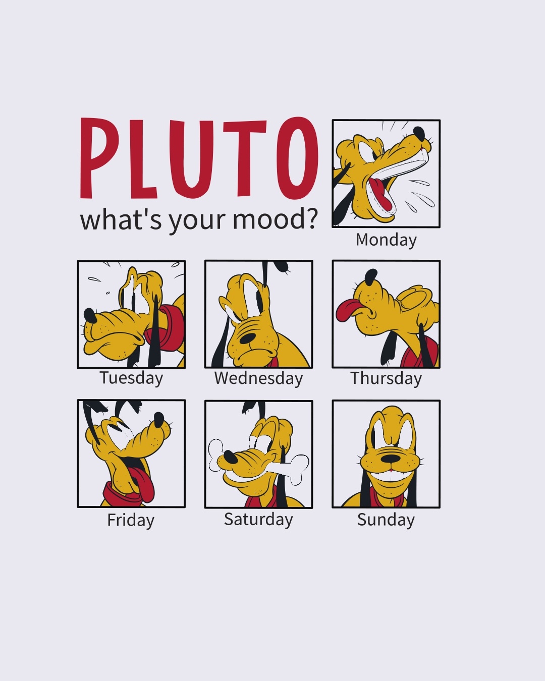 Slide 5