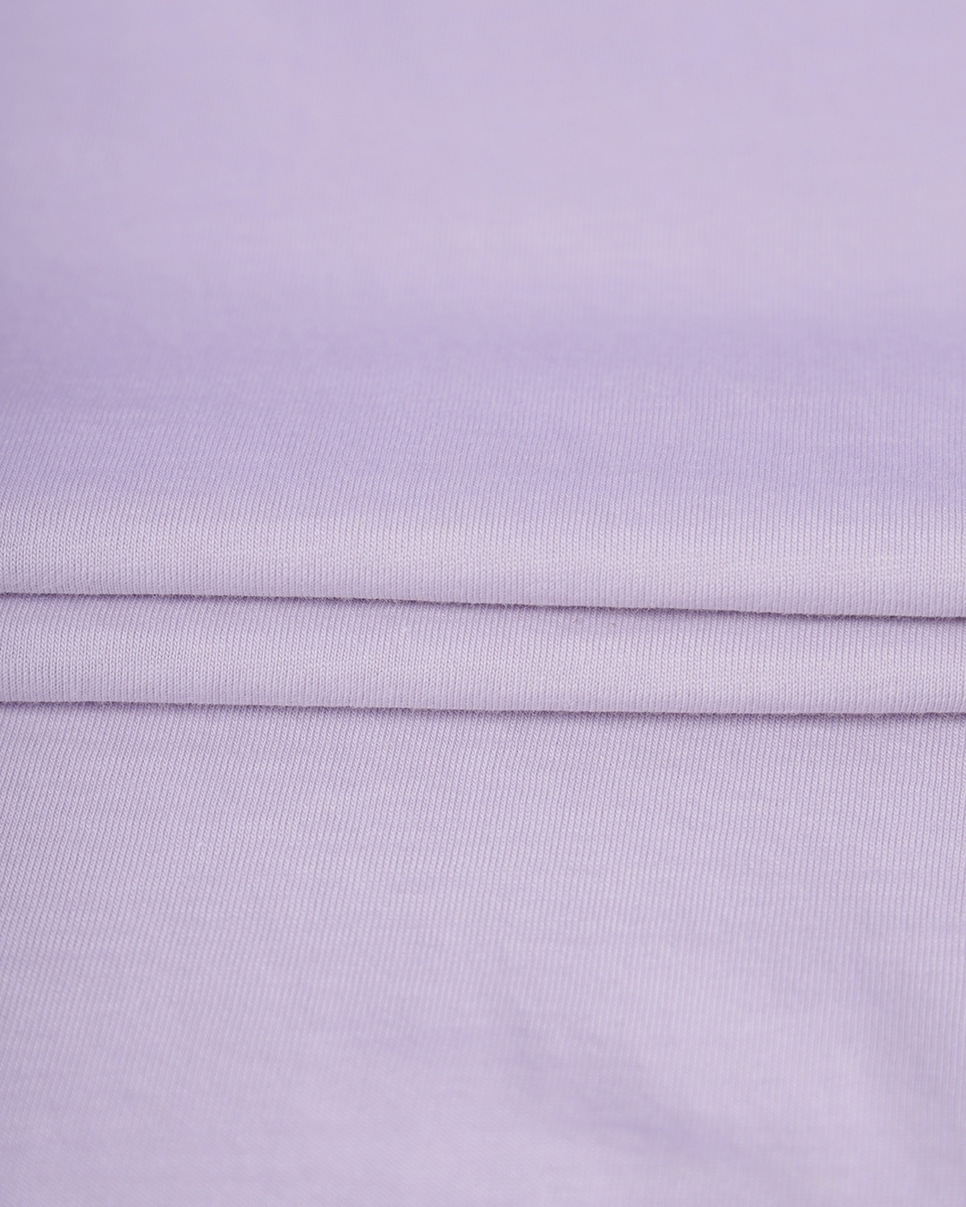 Shop Women's Purple Tweety Chase Graphic Printed Plus Size T-shirt