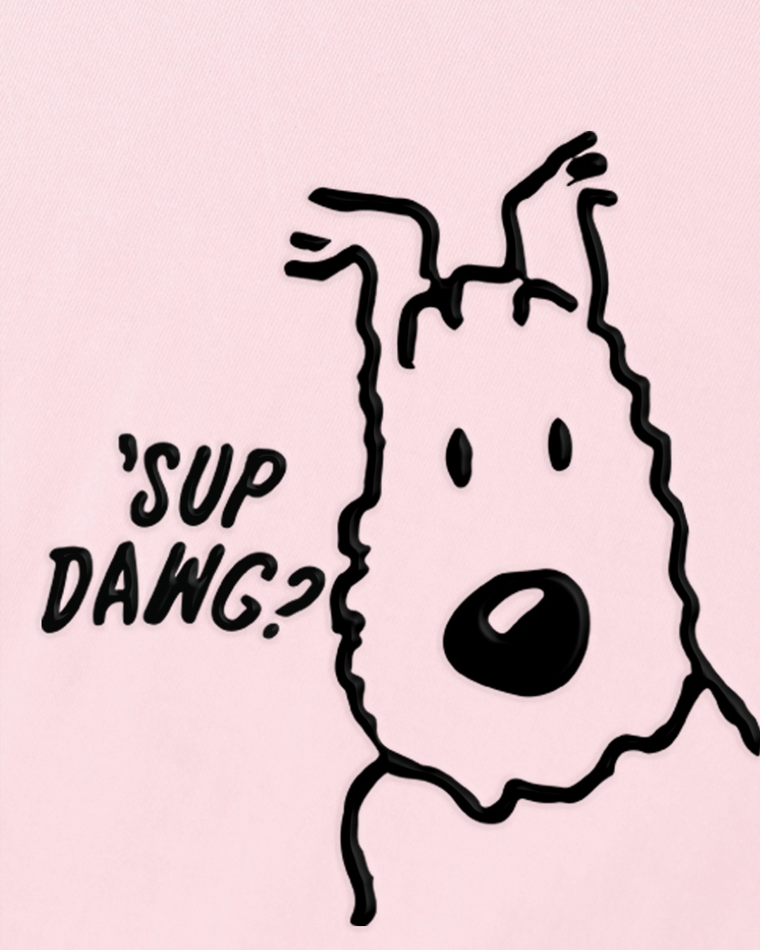 Slide 5