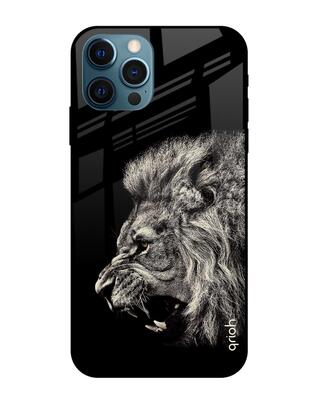 Shop Qrioh iPhone 12 Pro Max Brave Lion Glass case-Front