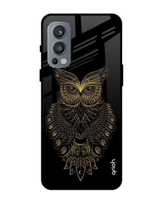 Shop Owl Printed Premium Glass Cover for OnePlus Nord 2 (Shock Proof, Lightweight)-Front