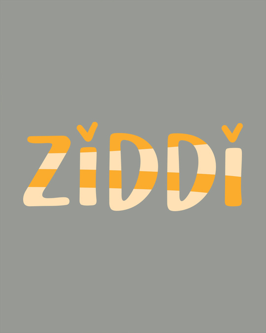 Shop Ziddi Boyfriend T-Shirt