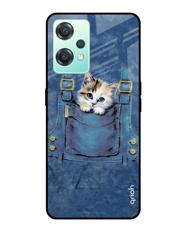 Shop Kitty In Pocket Printed Premium Glass Cover For OnePlus Nord CE 2 Lite 5G (Matte Finish)-Front