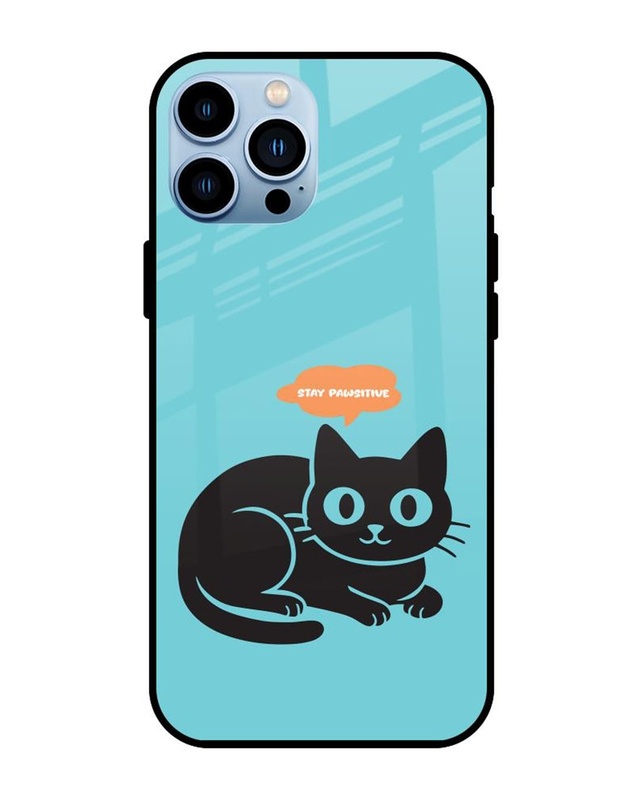 Shop Pawsitive Premium Glass Cover for Apple iPhone 13 Pro-Front