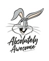 Shop Absolutely Awesome Bunny 3/4th Sleeve Raglan T-Shirt (LTL)