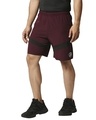 Shop Solid Men Wine Regular Shorts-Full