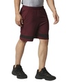 Shop Solid Men Wine Regular Shorts-Design
