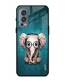 Shop Baby Elephant Printed Premium Glass Cover for OnePlus Nord 2 (Shock Proof, Lightweight)-Front