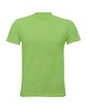 Shop Women's Solid Half Sleeve Green T-shirt-Front