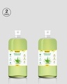 Shop Neem & Aloe Hand Wash (500ml) Pack Of 2-Full