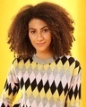 Shop Women's Multicolor Colorblock Regular Fit Sweater
