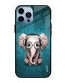 Shop Elephant Printed Silicon Glass Cover For Apple iPhone 13 Pro Max (Light Weight, Impact Resistant)-Front