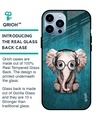 Shop Elephant Printed Silicon Glass Cover For Apple iPhone 13 Pro Max (Light Weight, Impact Resistant)-Design