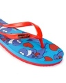 Shop Freetoes Sharks.Green/Red Flipflops For Womens