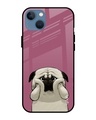 Shop Funny Pug Face Printed Premium Glass Cover For iPhone 13 mini (Impact Resistant, Matte Finish)-Front
